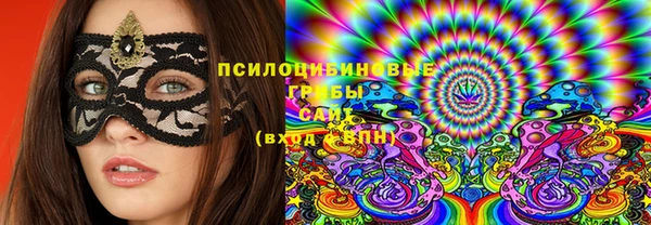 мдпв Надым