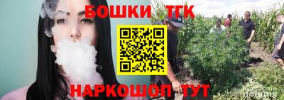 крисы Заводоуковск