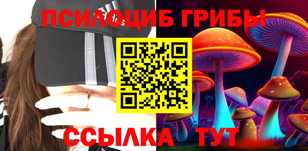 Галлюциногенные грибы Psilocybine cubensis Михайловск