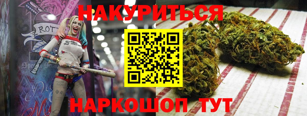 Каннабис семена  МАРИХУАНА SATIVA & INDICA  Вход с VPN  Марихуана SATIVA & INDICA  Канабис Bruce Banner  Михайловск 